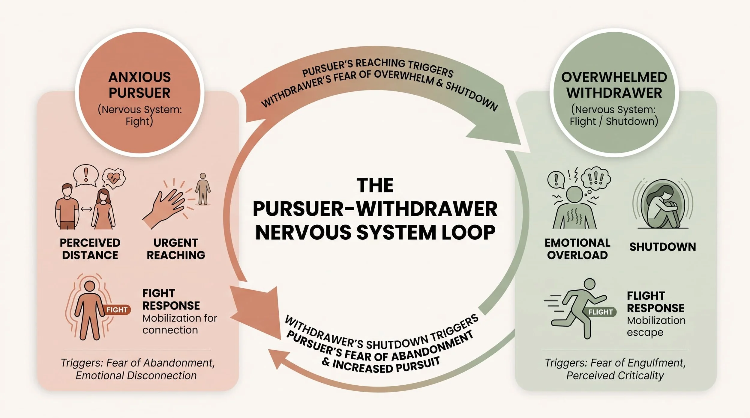Infographic diagram illustrating the Pursuer-Withdrawer nervous system loop in couples therapy.