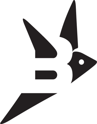 Plane B