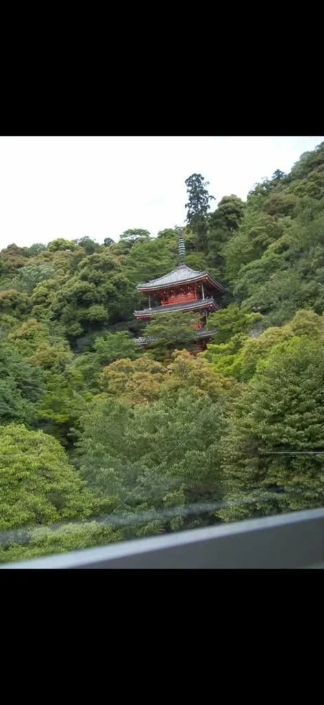 Erica Roybal in Japan.jpg