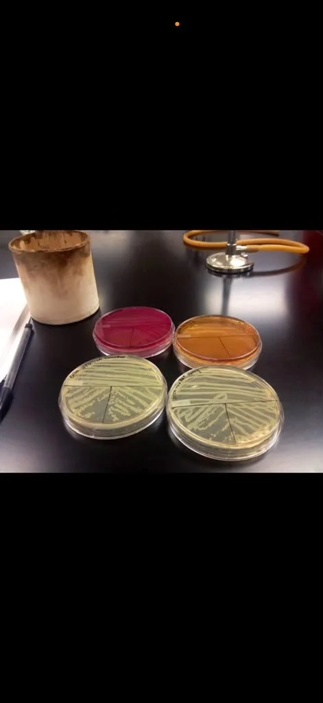 Erica Roybal employed as a student scientist.jpg