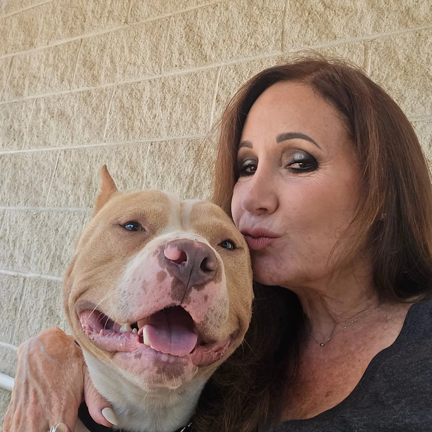 How I spend my Sundays...Mr. Grins edition❤️❤️❤️. Go on phillypaws.org to learn more about fostering or adopting this sweet, sweet boy.💕💕💕💕