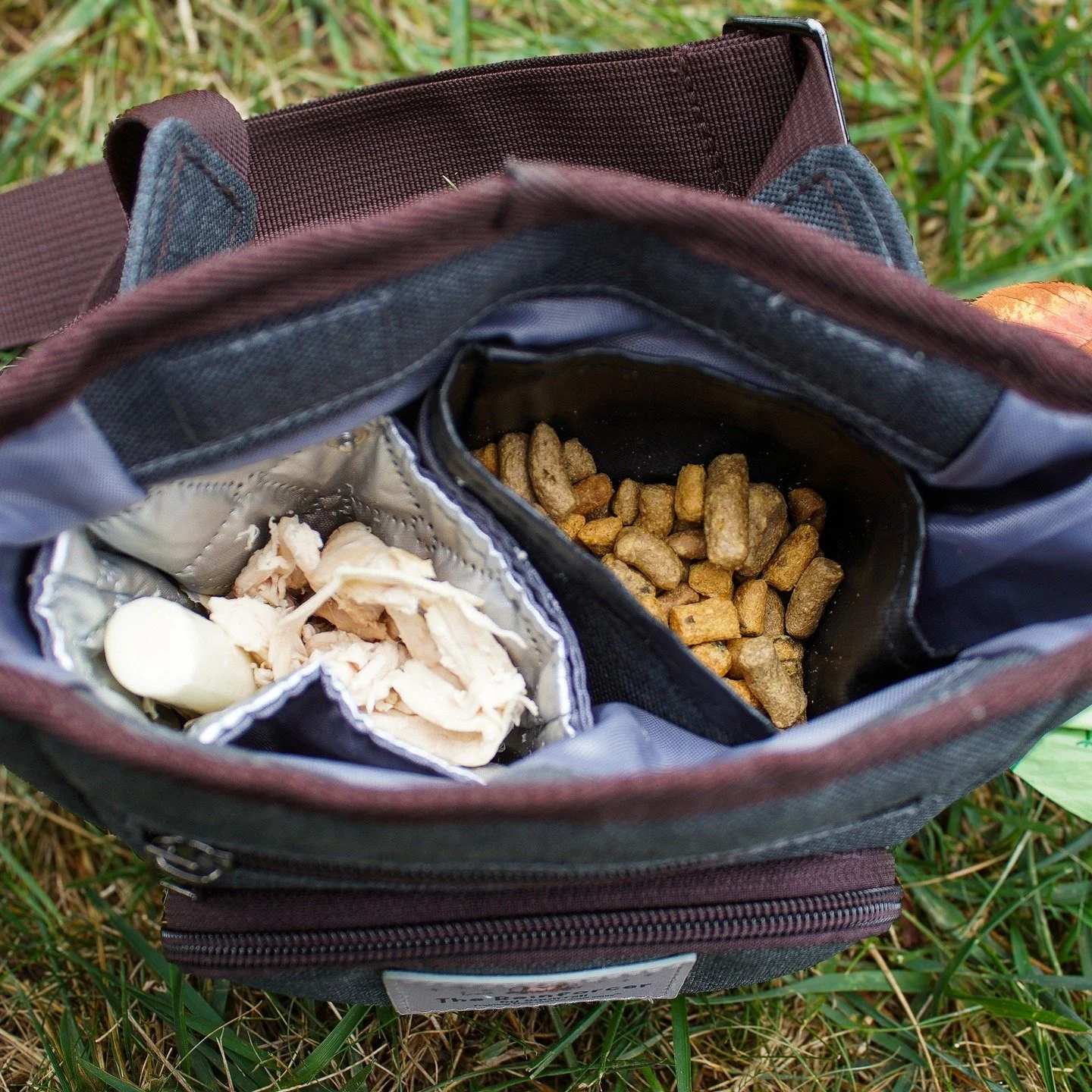 I designed my dream dog training bag! It holds FOUR cups of food in two REMOVABLE pouches (easy to wash in the sink/dry overnight). 

Keeps treats of different values SEPARATED! And...has room for all my stuff.

Come see me this weekend at my favorit