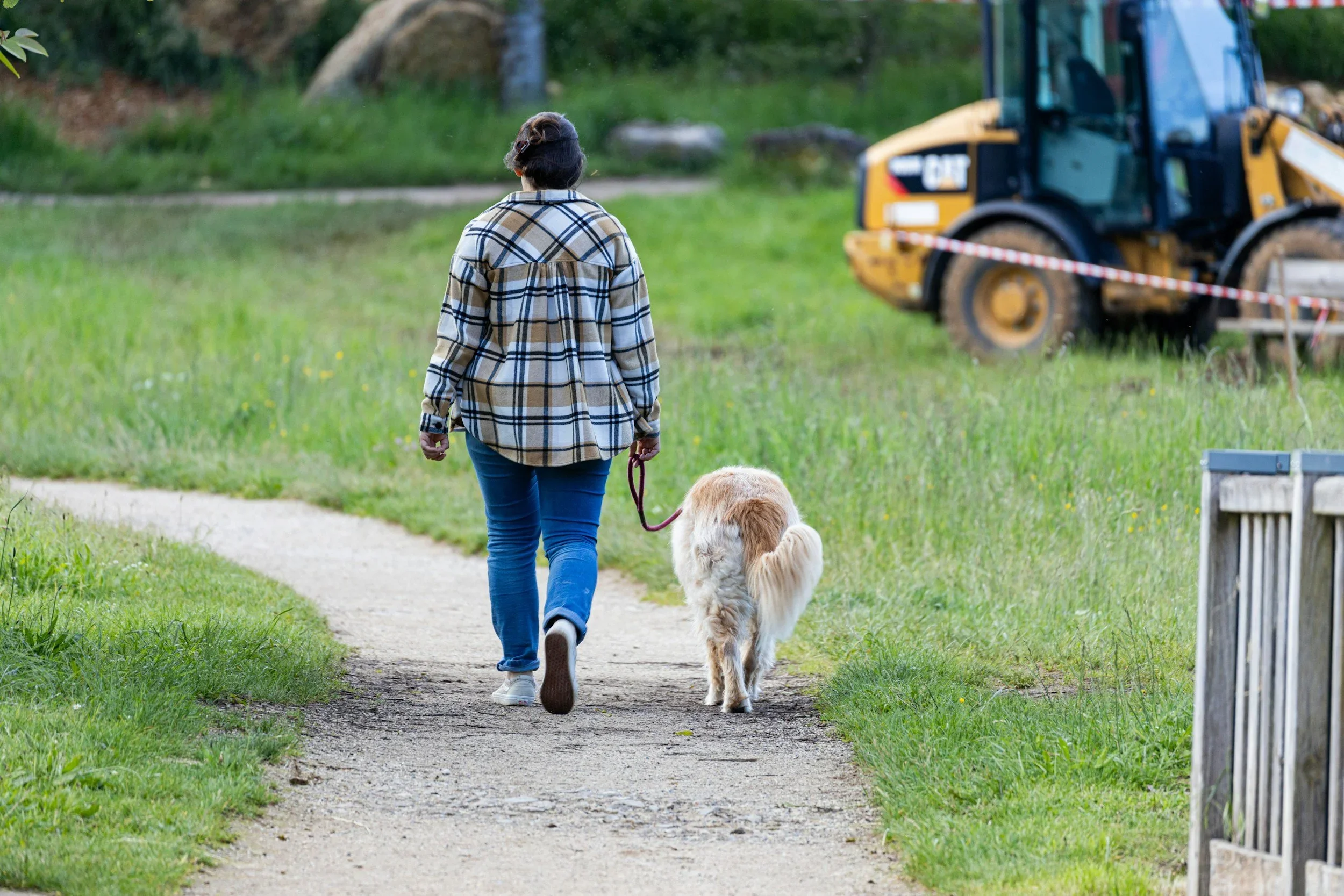 Leashes are for safety (and prong collars aren’t for anyone)