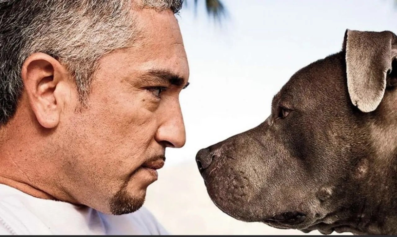 Why is The Dog Whisperer (Cesar Millan) So Dangerous?