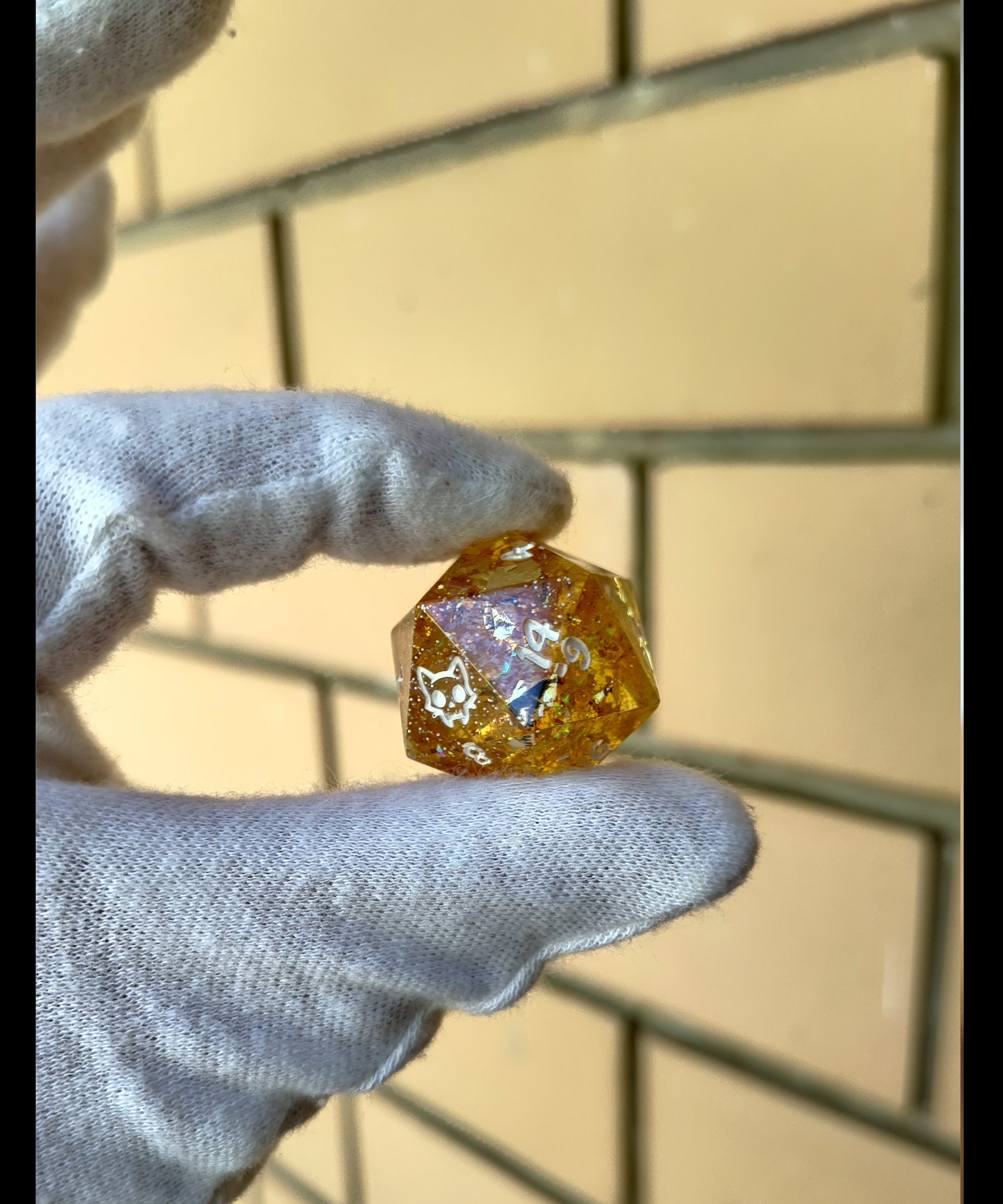 D20.png