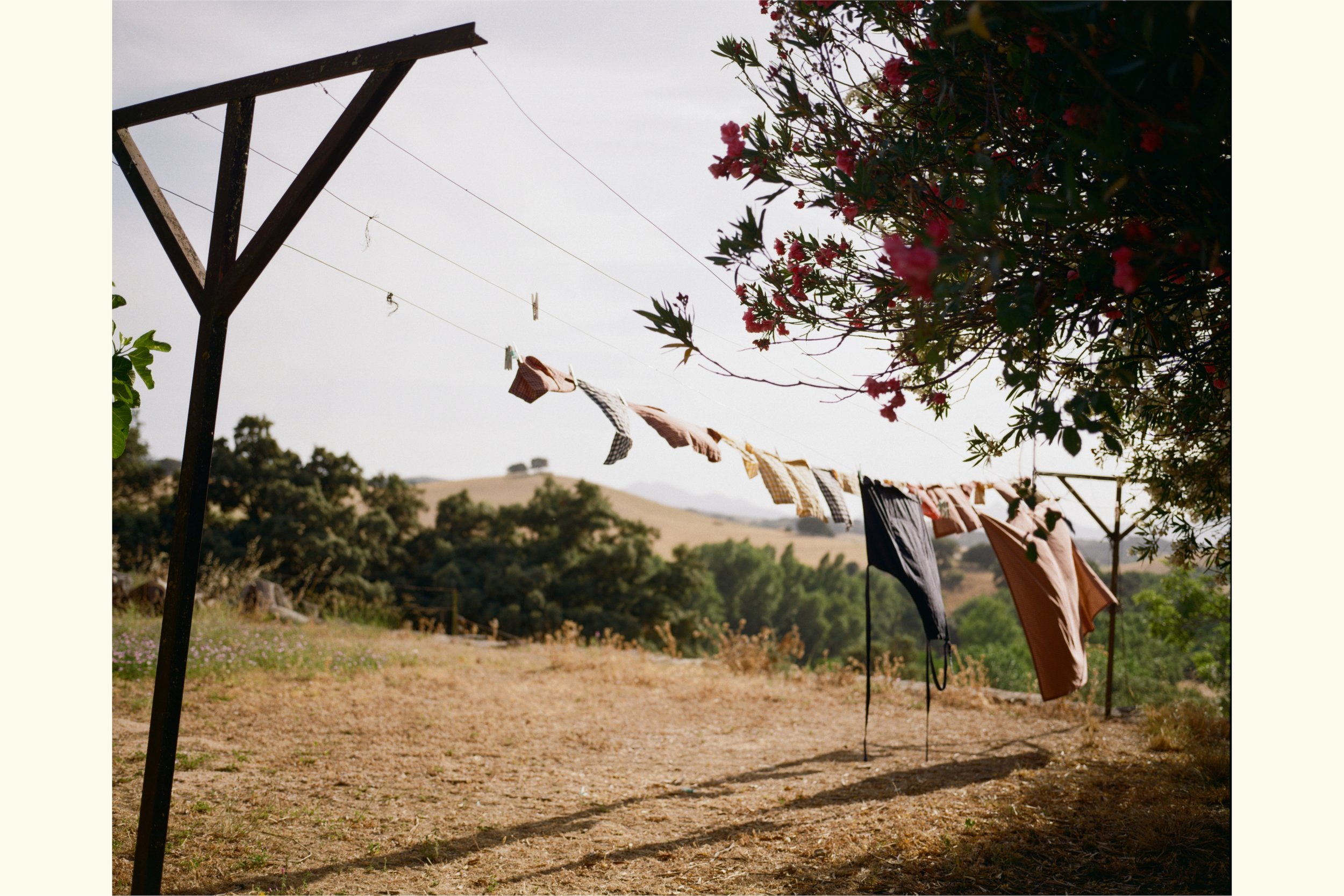 Wind & Wash