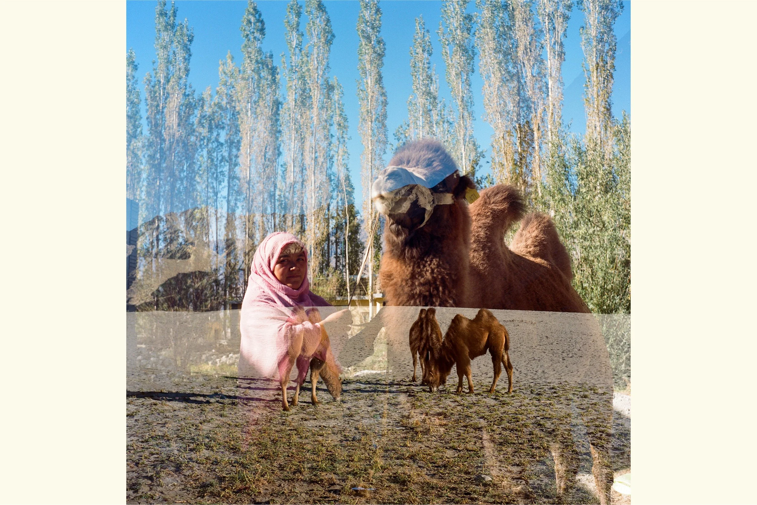 Seeing Double: The Last Caravan