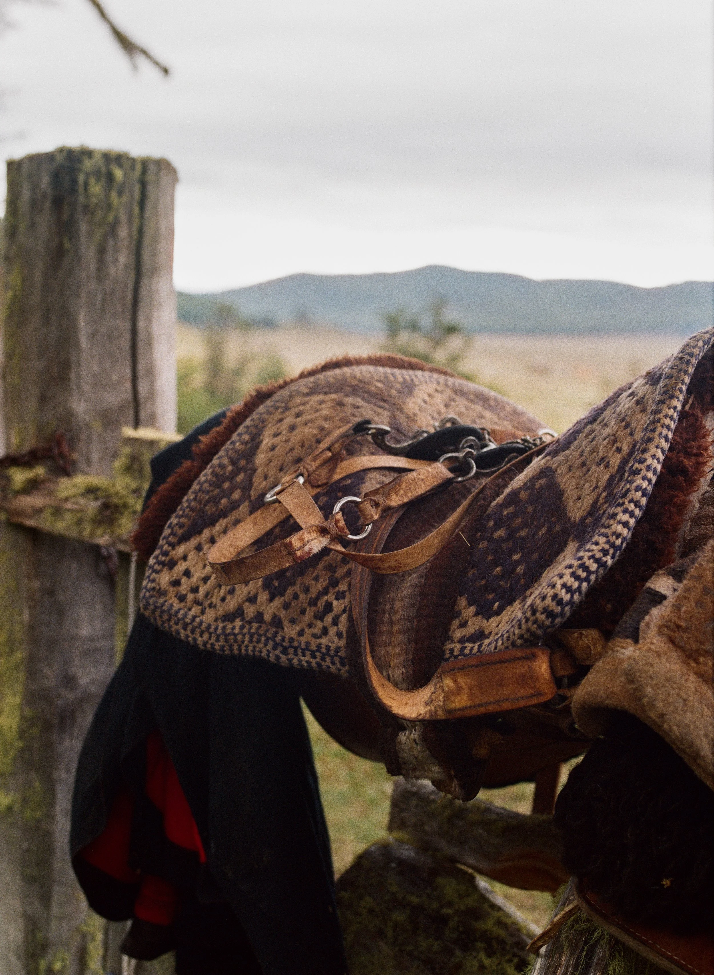 2024_Argentina_End of the World-10.jpg