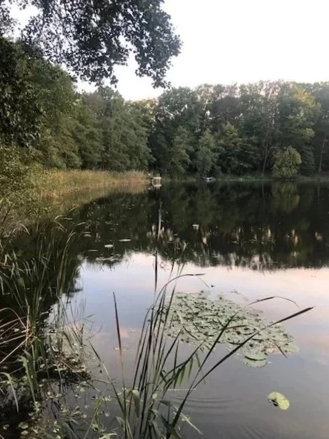 A Philosophy of Music?