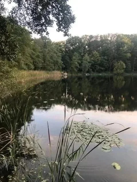 A Philosophy of Music?