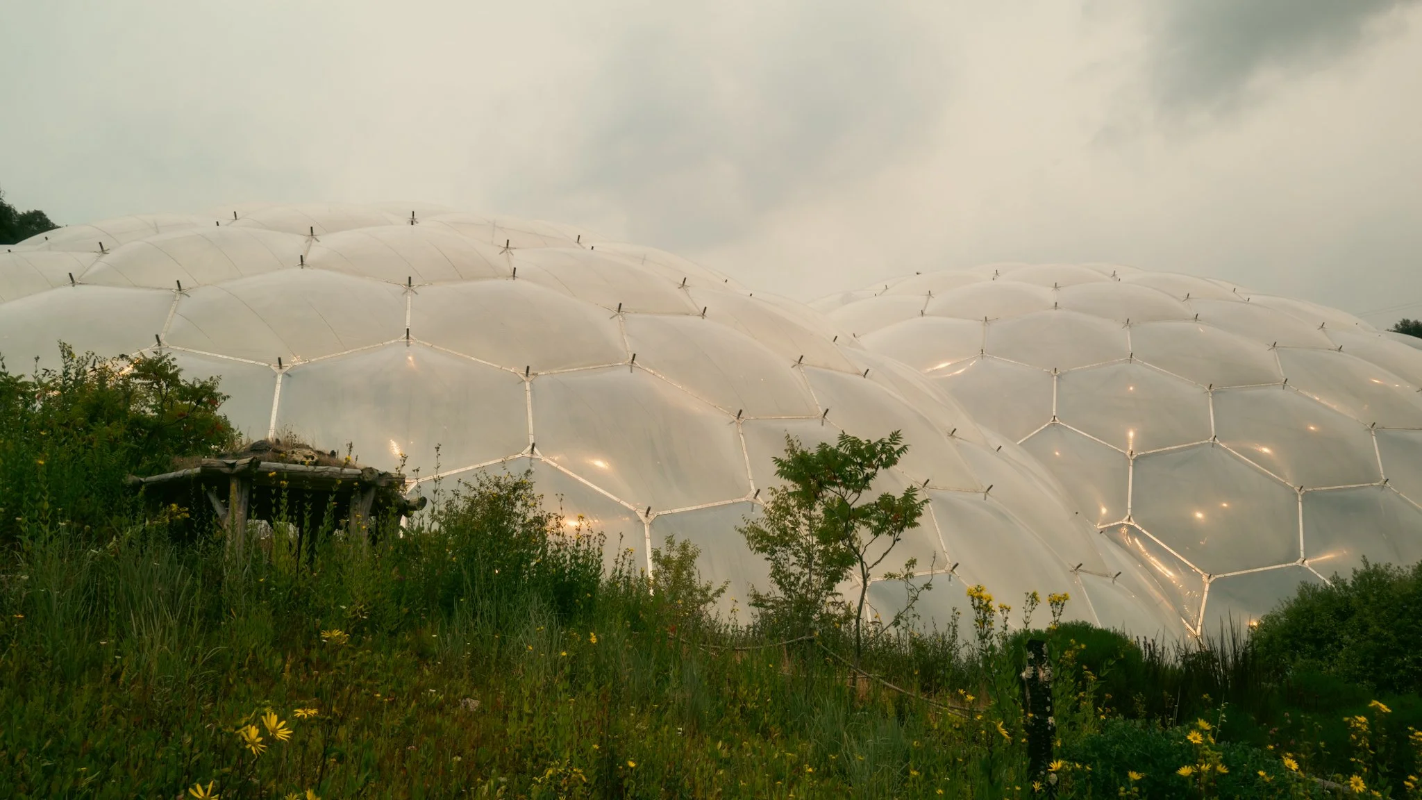 Greenhouse structures with translucent domed panels and metal framework, surrounded by green plants and flowers, under a cloudy sky.