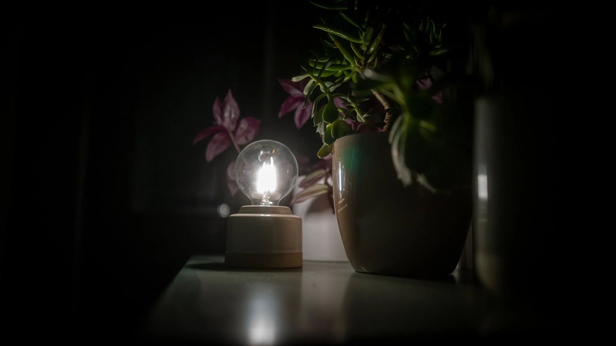 Close-up of a glowing light bulb placed on a table beside a potted plant with purple and green leaves in a dark room.