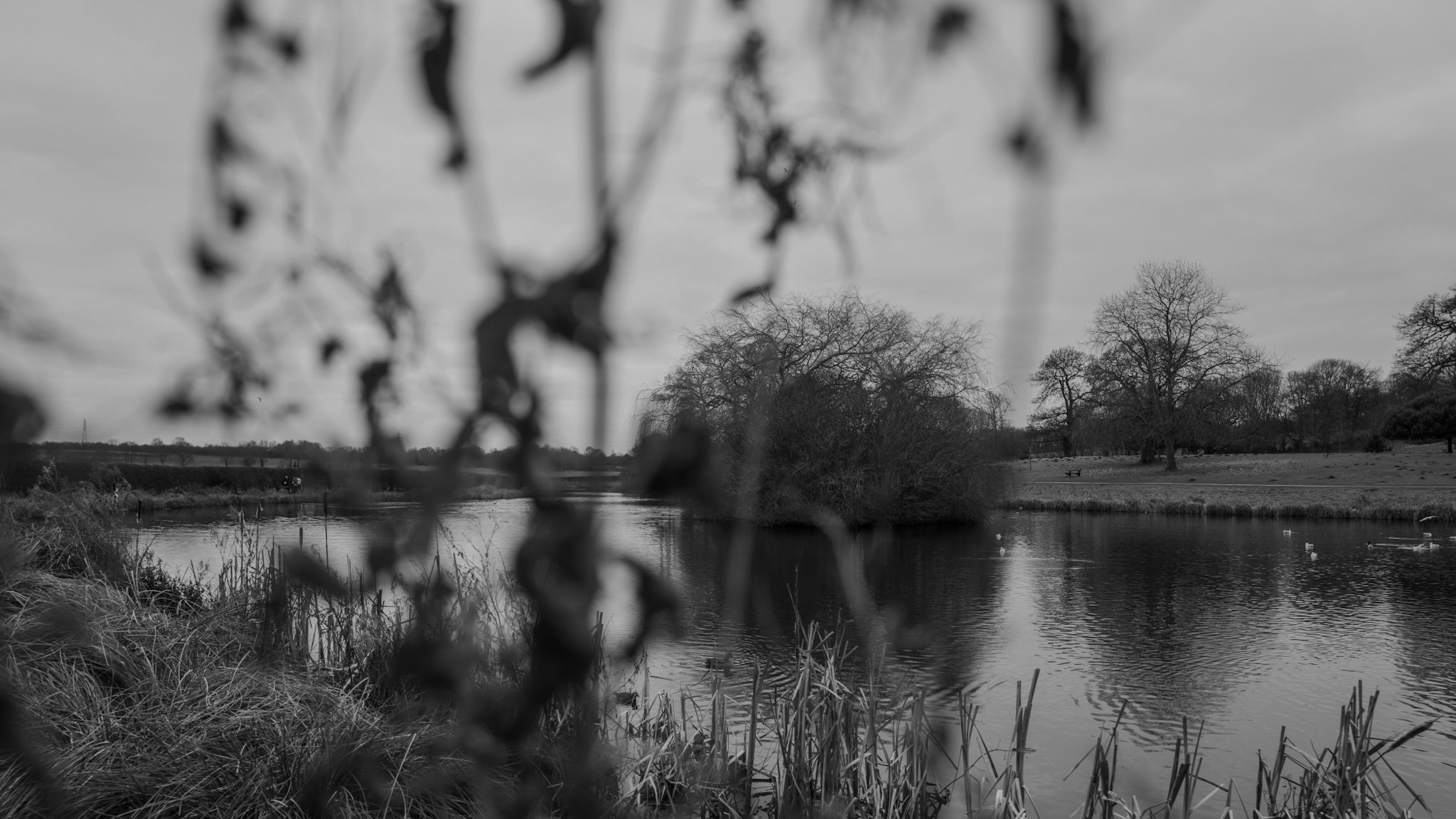 project 365-1.jpeg