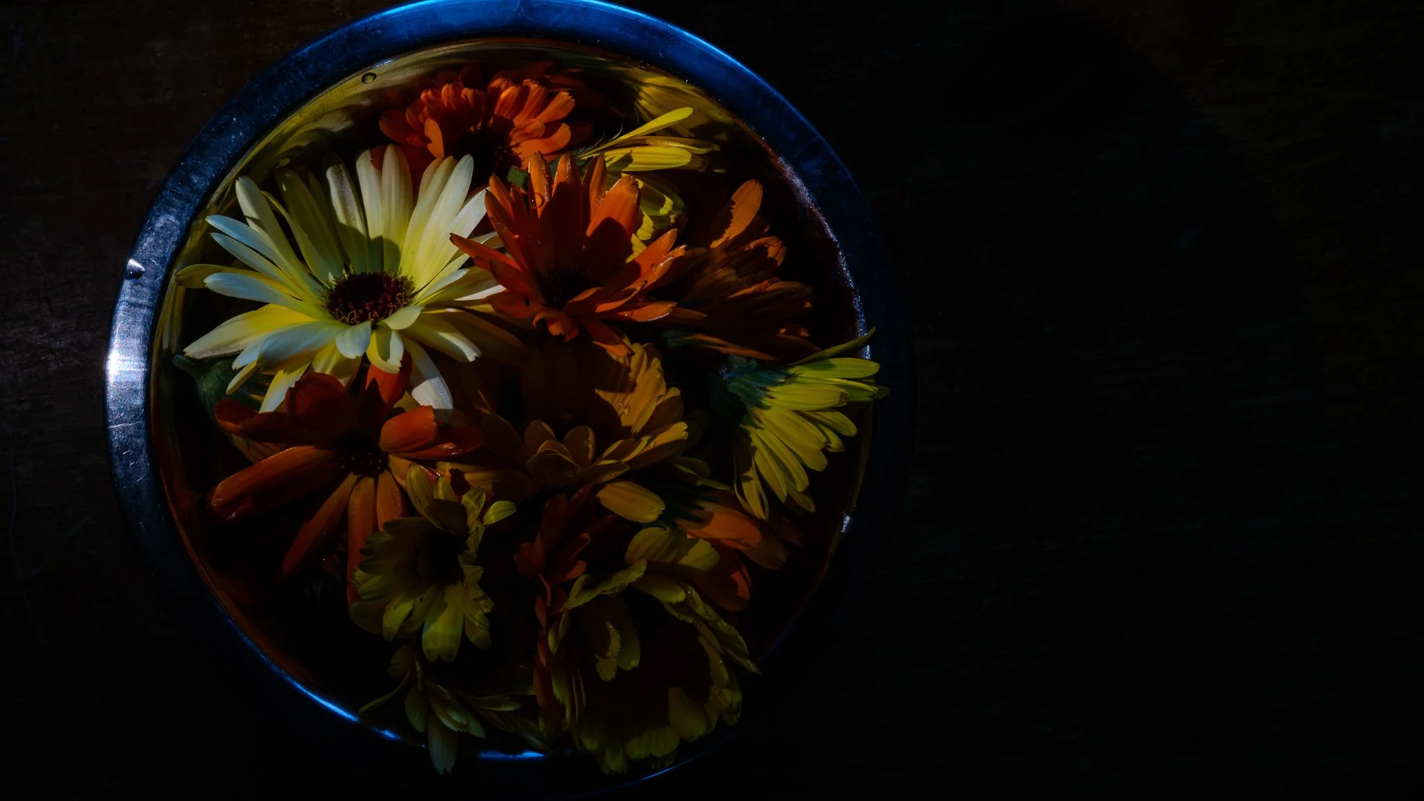 A round metallic bowl filled with water and floating yellow and orange daisies, placed on a dark surface with low lighting.