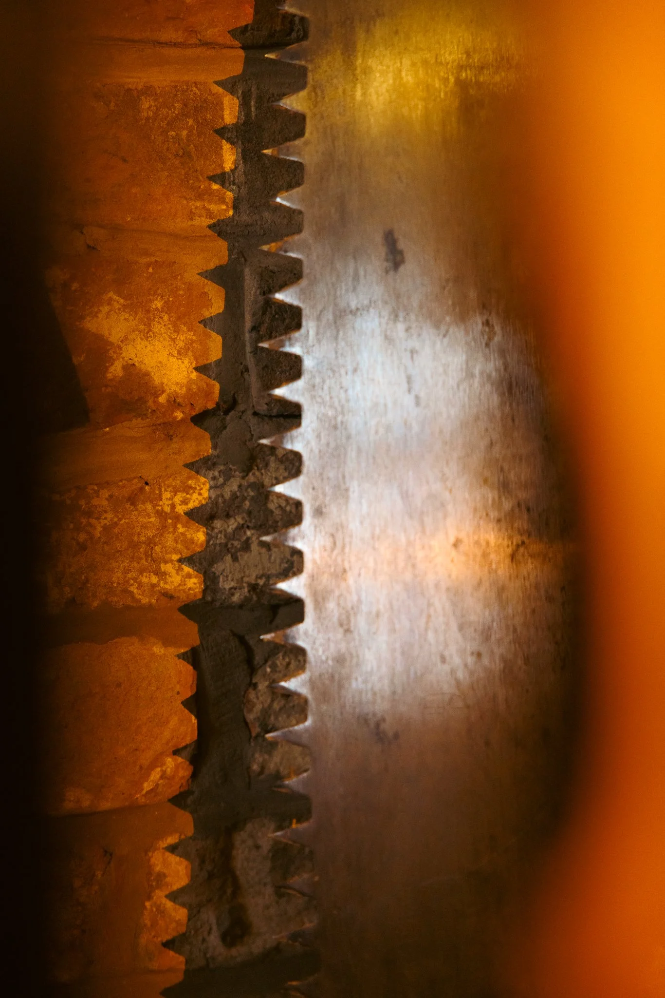 RIDO Richard Nazia-076.jpg