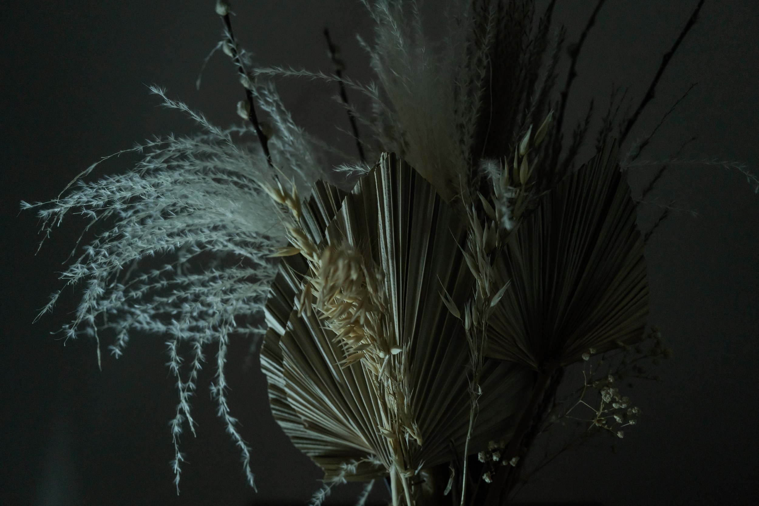 project 365 day 1.jpg