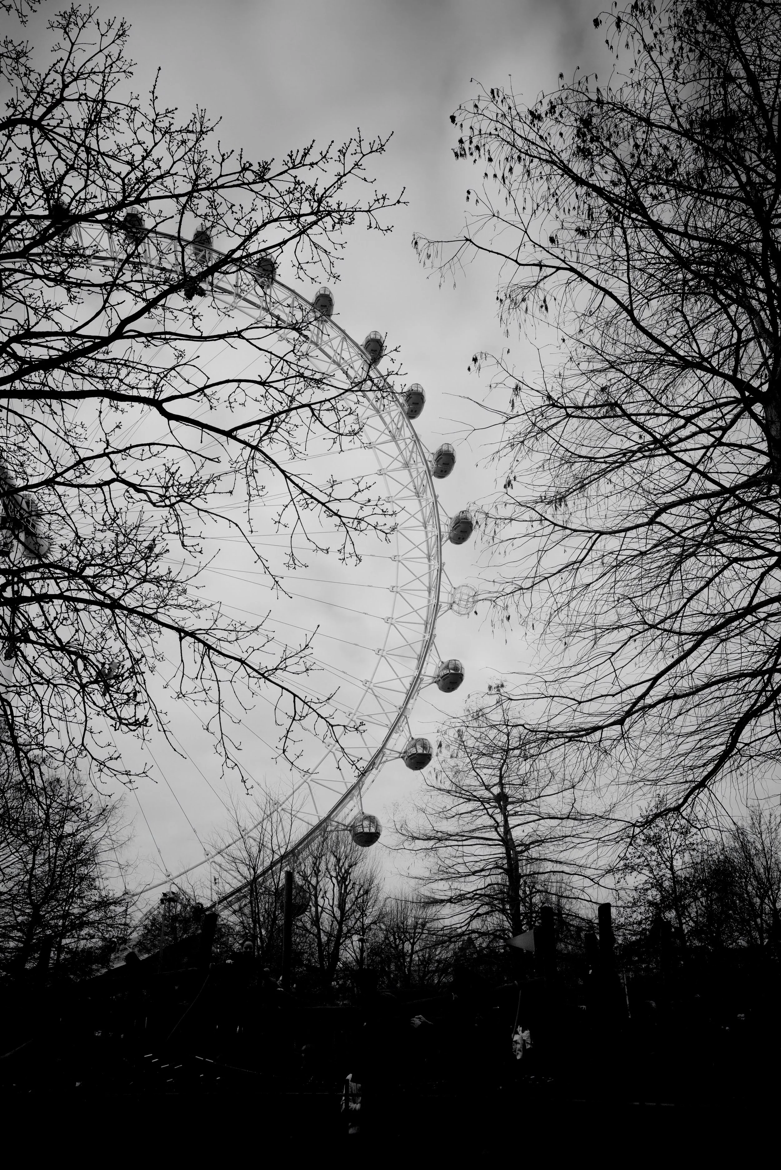 London Eye through the trees