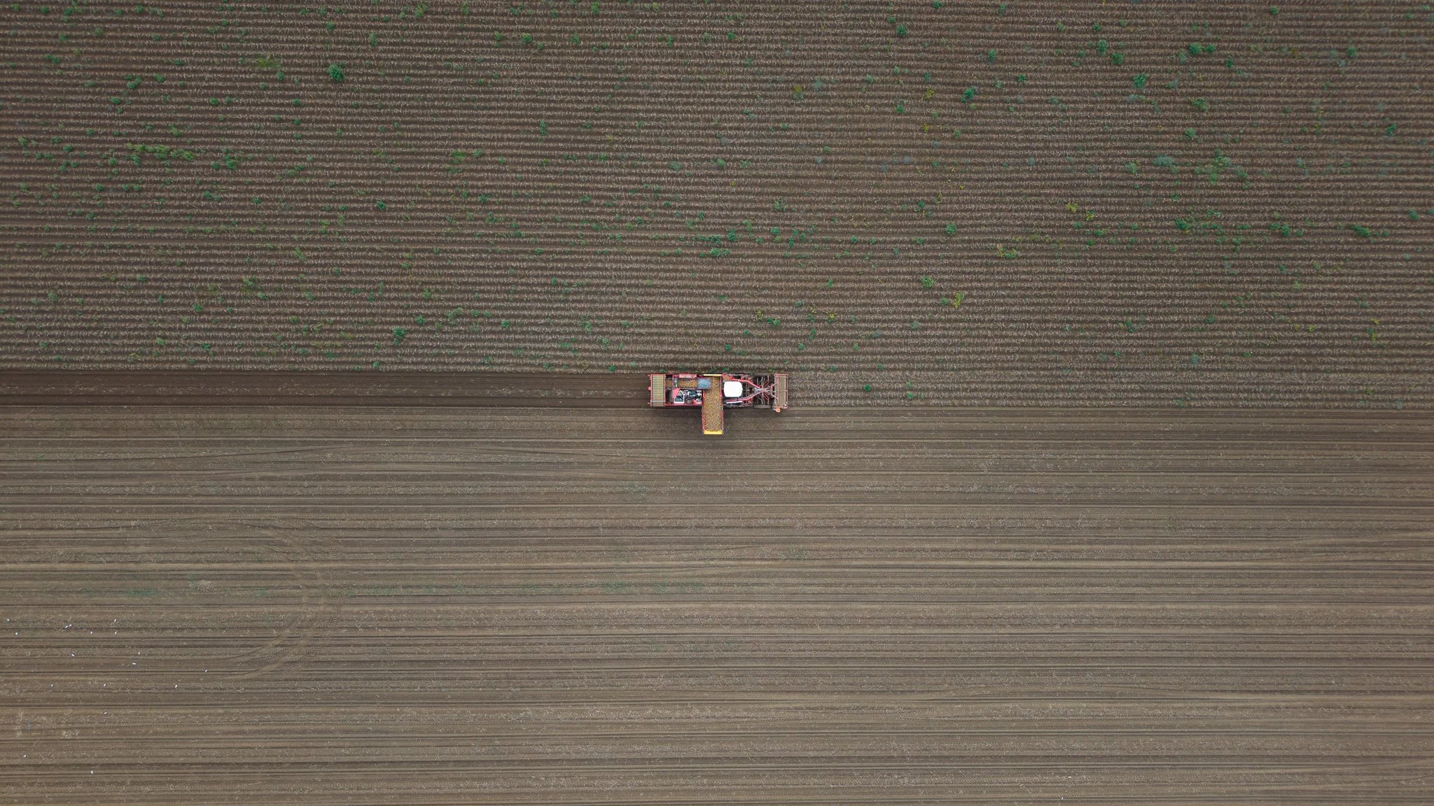 An aerial view of a tractor working in a large, divided field with rows of crops and soil.