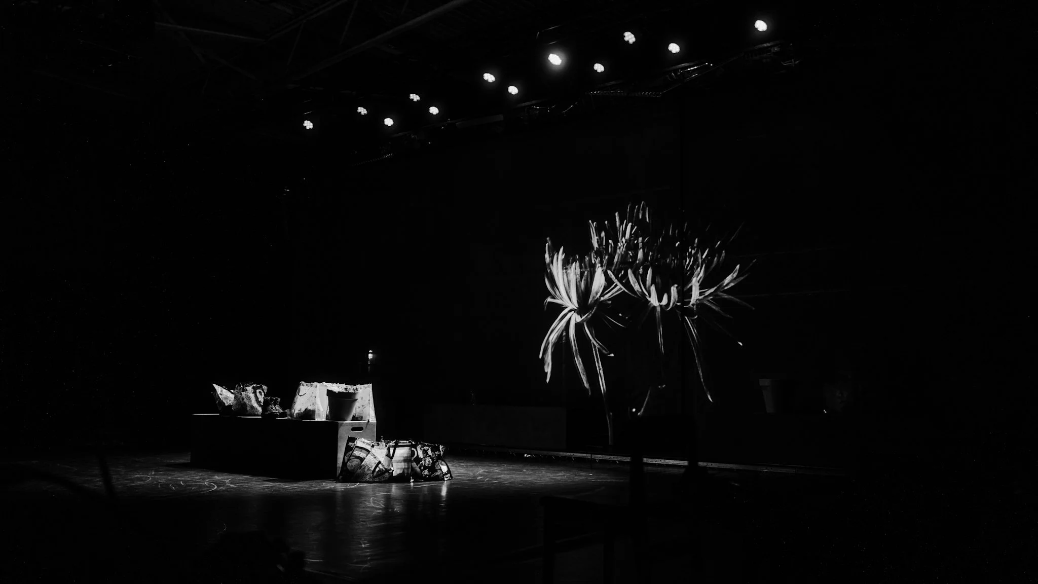Stage setup with a large flower backdrop and some props or boxes on the side, illuminated by stage lights in a dark environment.