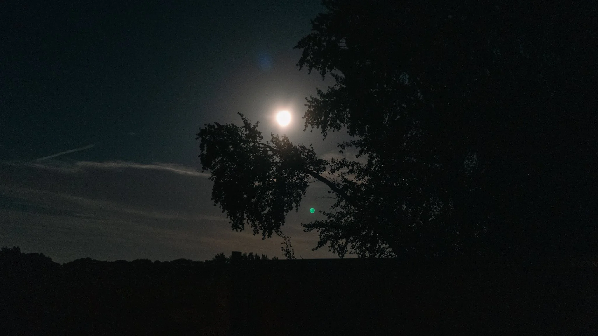 Nighttime scene with the moon shining brightly in the sky, partially obscured by tree branches and leaves, with some clouds and distant horizon.
