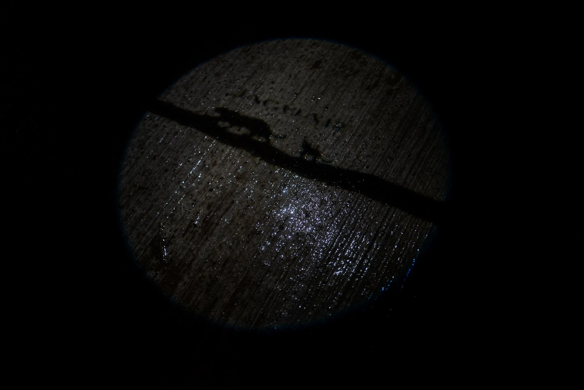 Dark image showing a wooden surface with water droplets illuminated by a narrow light, casting a shadow of a small object or mark.
