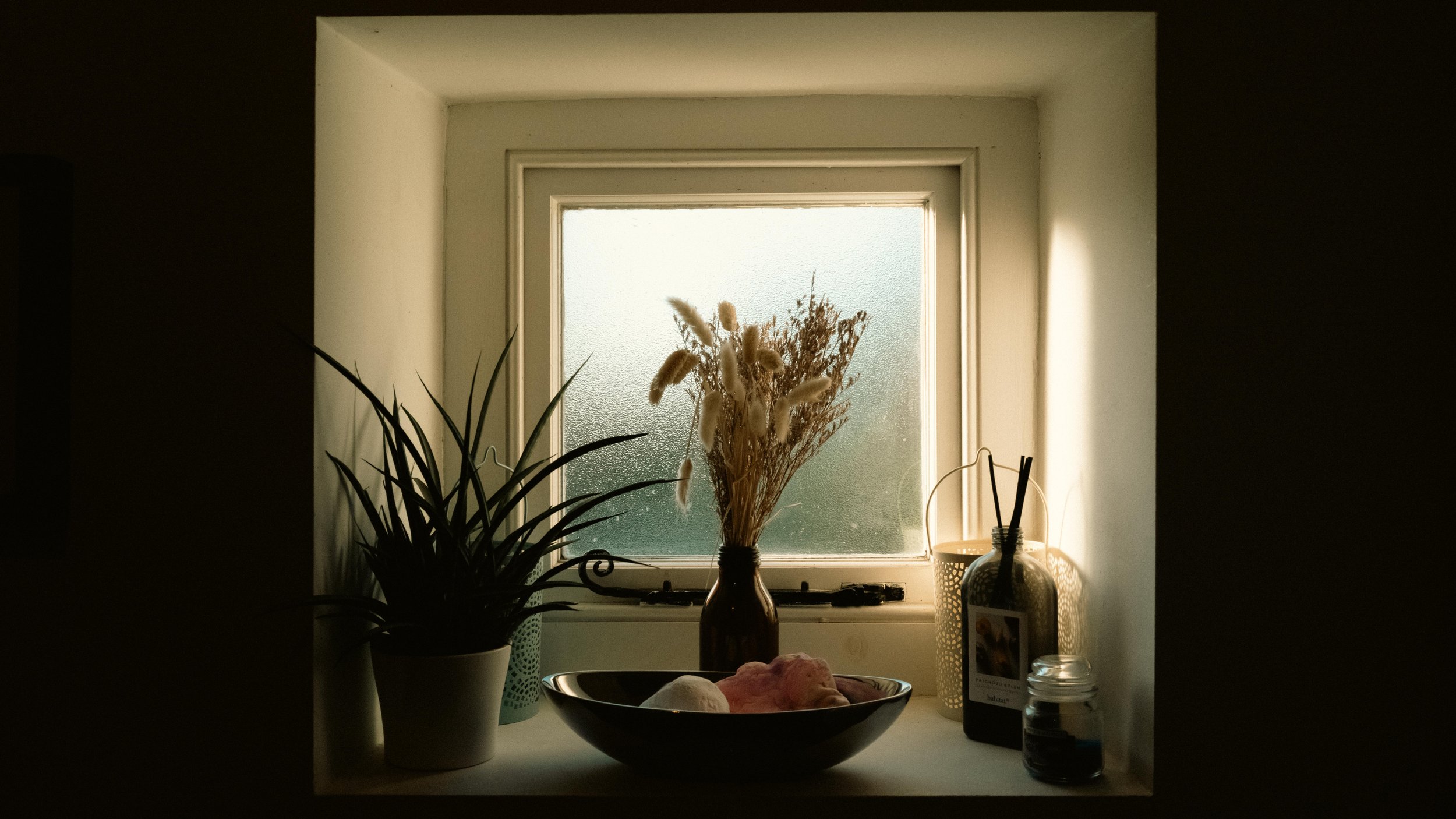 project 365 day 3-1.jpg