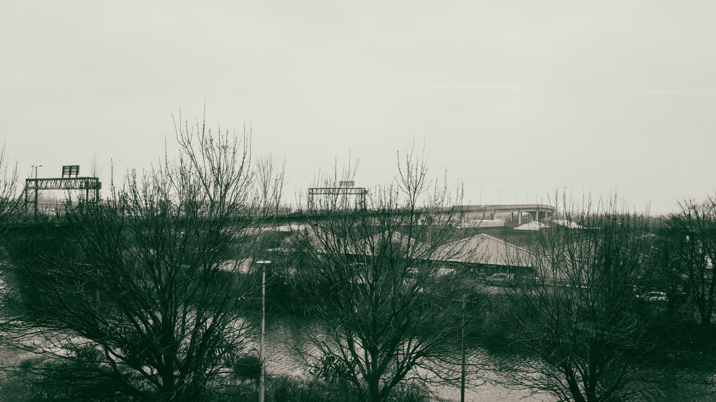 landscape.jpg