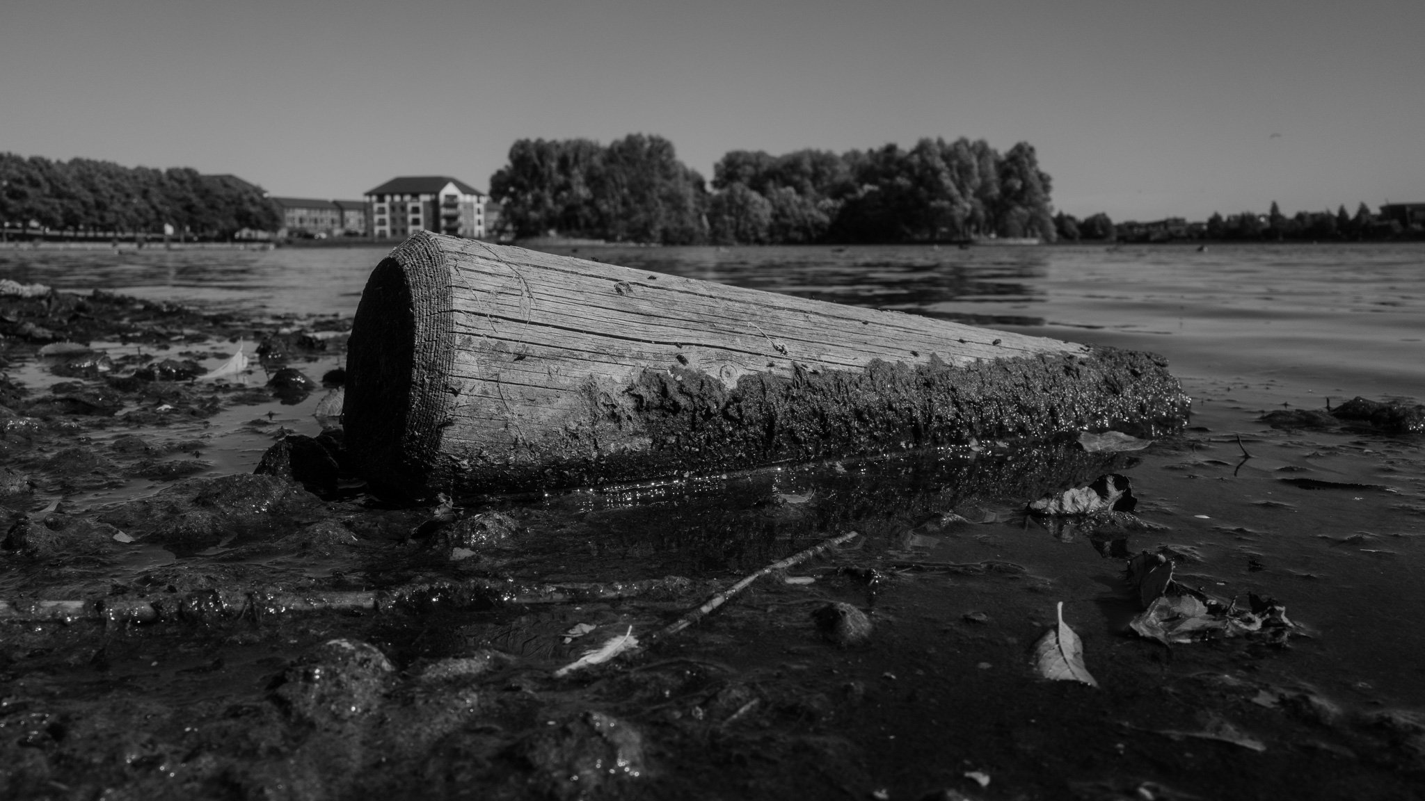 L1060186.jpg