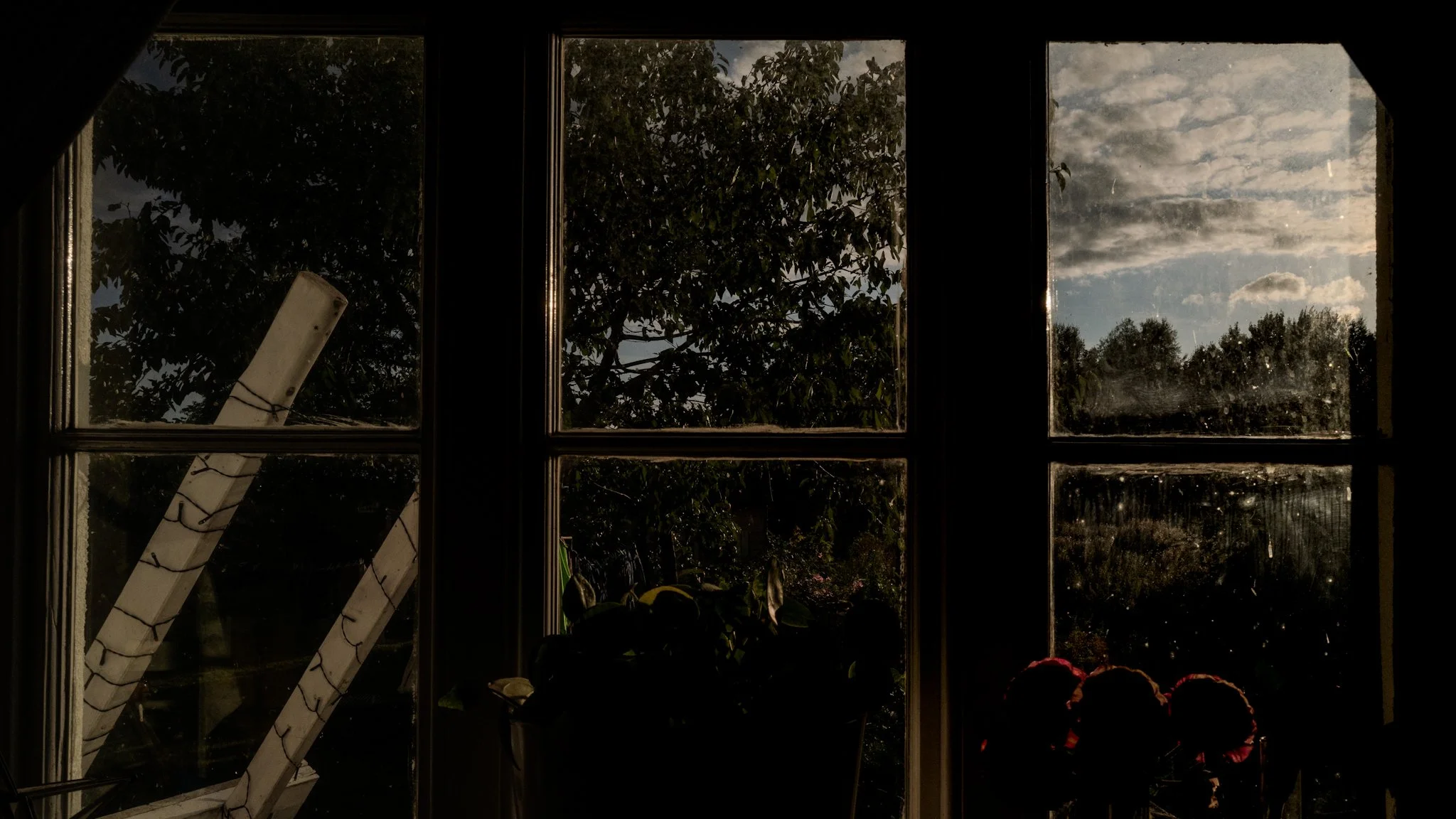 Looking out a window with multiple panes, showing trees outdoors and a partly cloudy sky.