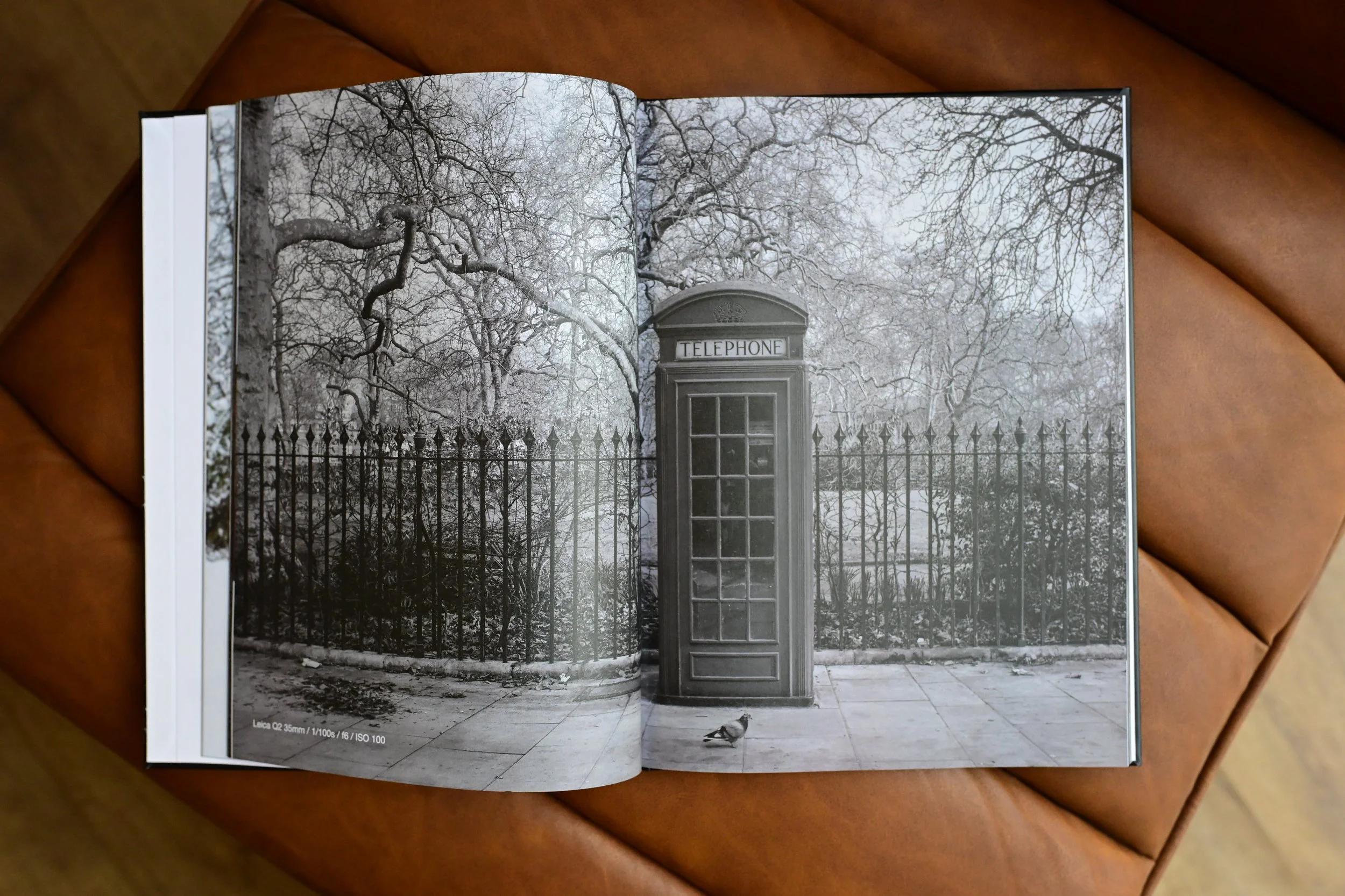 DSC_0270.jpeg