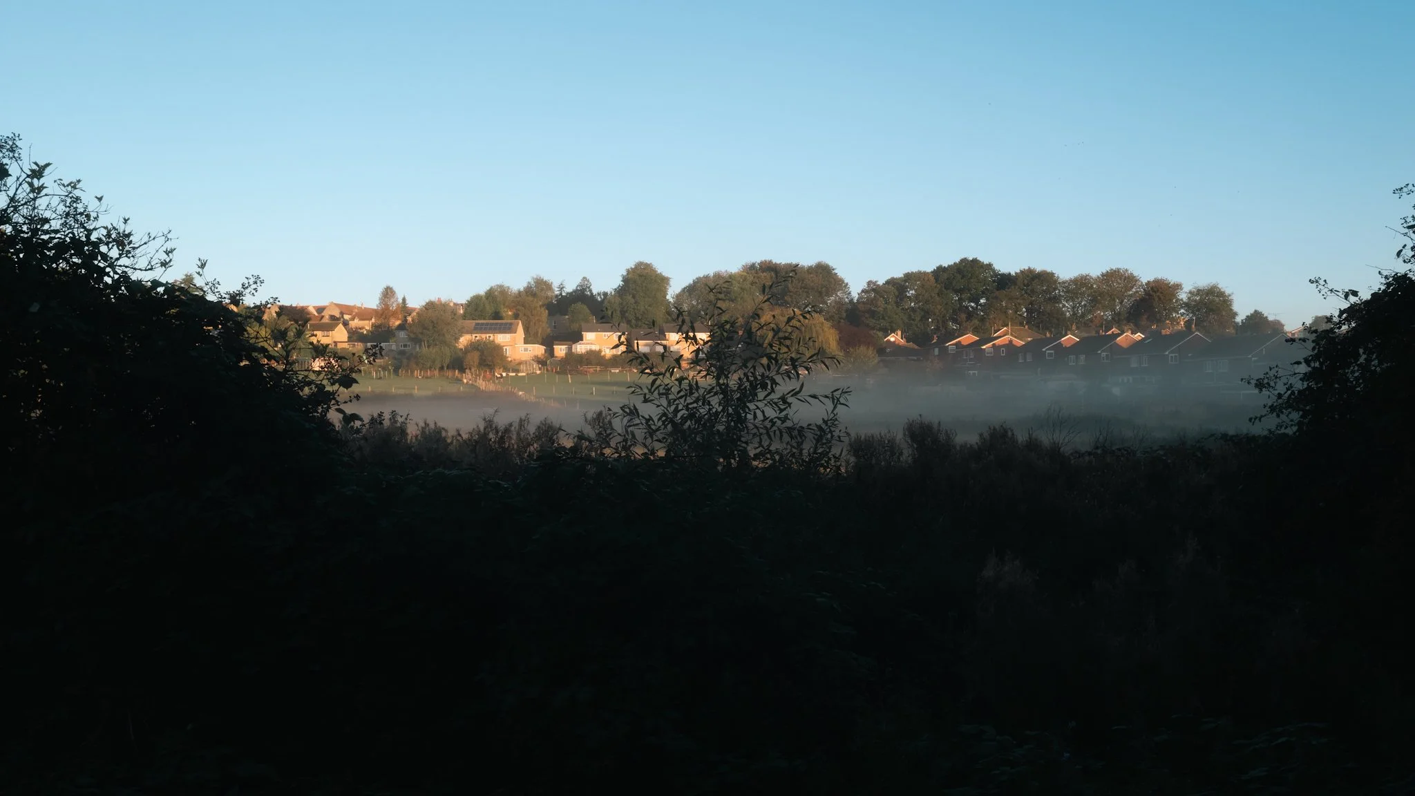 Early morning view of a suburban neighborhood with houses on a hillside, mist over a field, and trees silhouetted in the foreground.