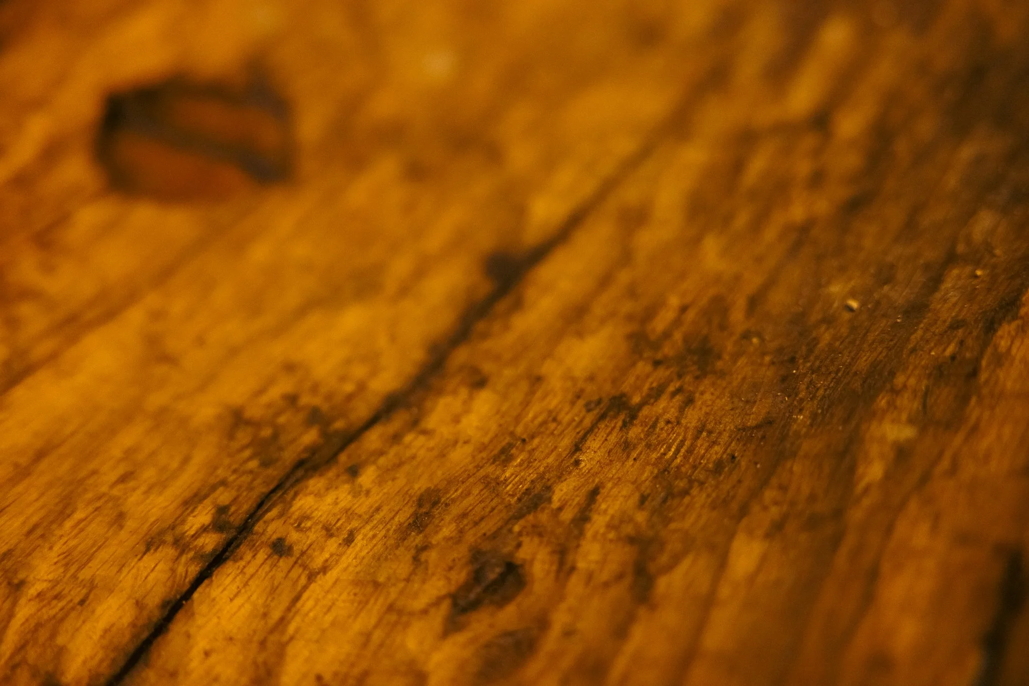 RIDO Richard Nazia-086.jpg