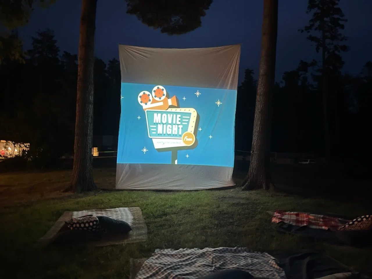 outdoor movie with blankets spread on the grass