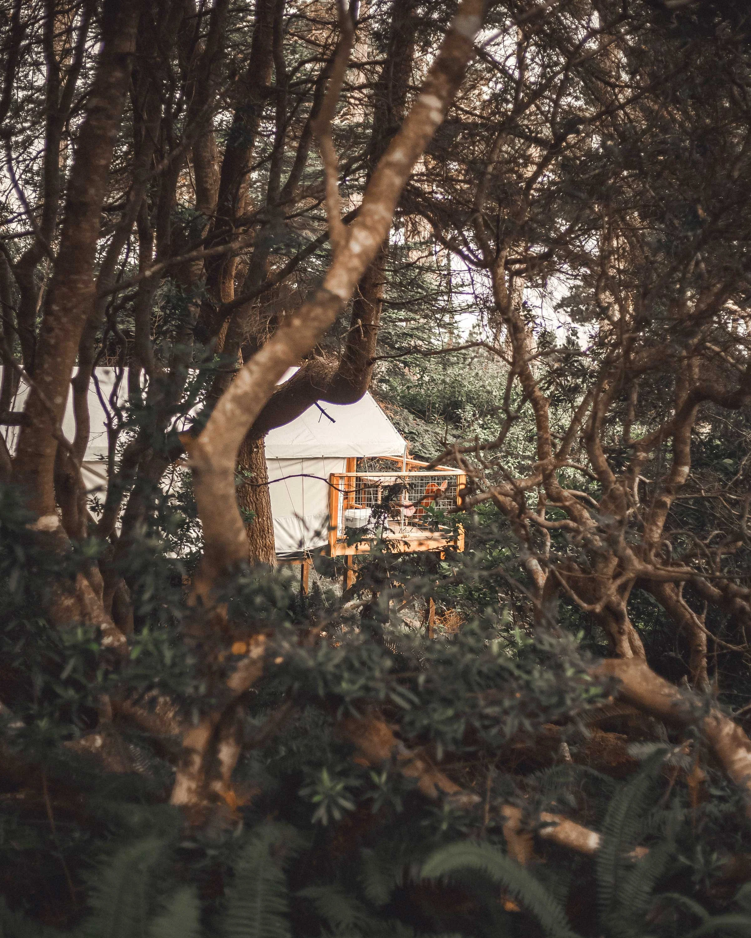 VISTA TENTS