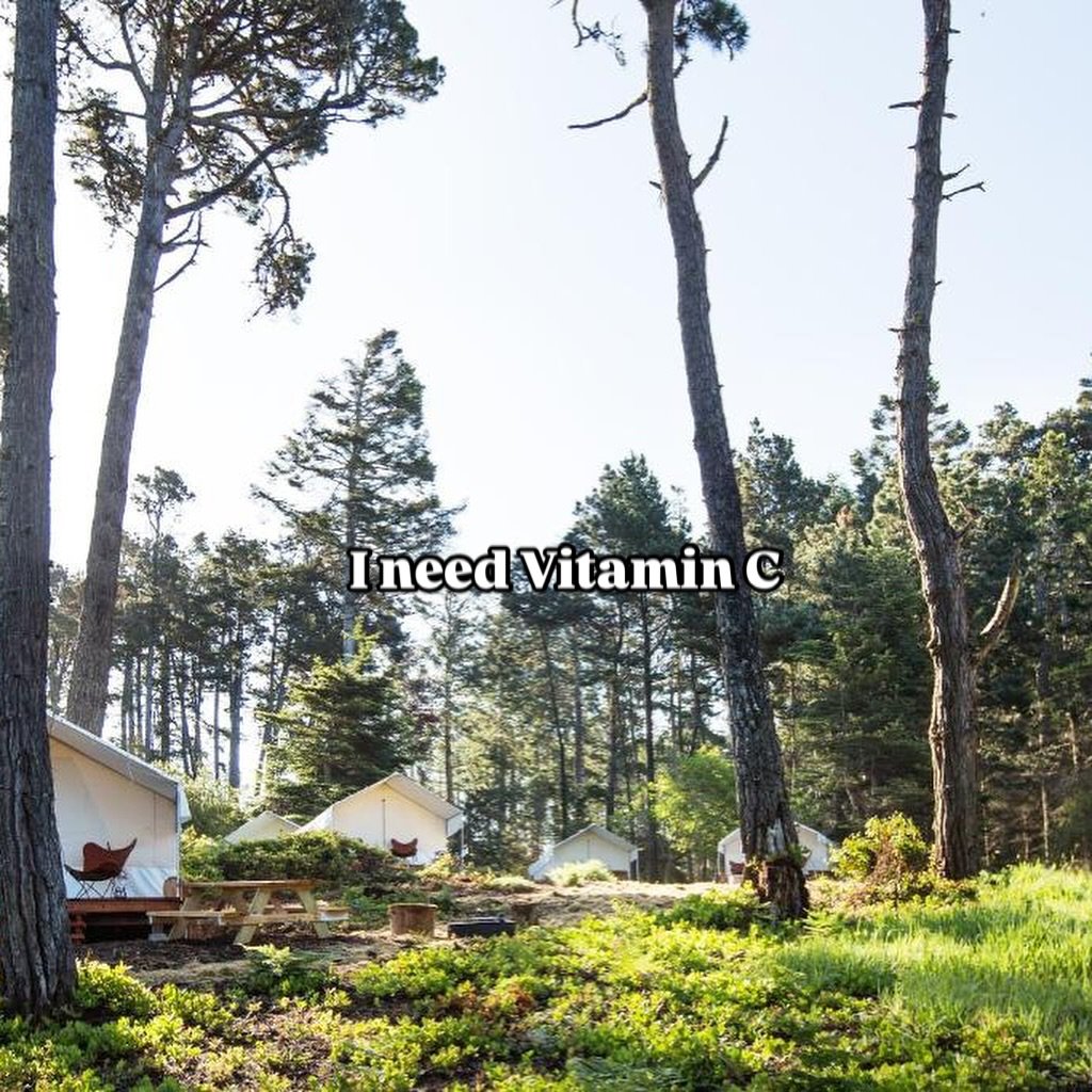 Craving a little Vitamin C?
Summer&rsquo;s around the corner and Mendocino Grove is calling. Long days, fresh air, and campfire cheers ahead. ⛺️☀️