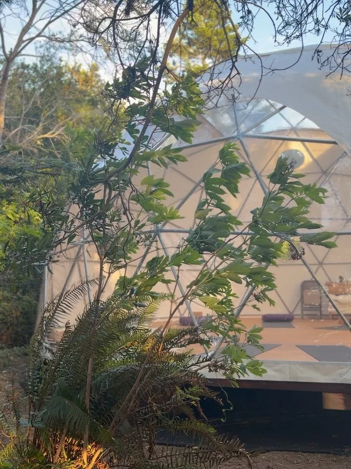 Something new is almost here! Check out our new wellness dome sitting above the Grove!