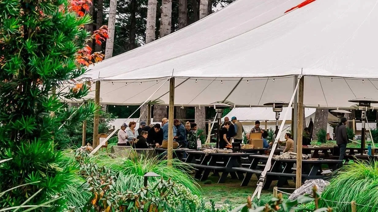 Mendocino grove tent thanksgiving dinner.jpg