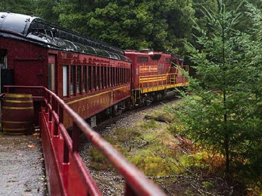 Skunk Train near Mendocino in Fort Bragg