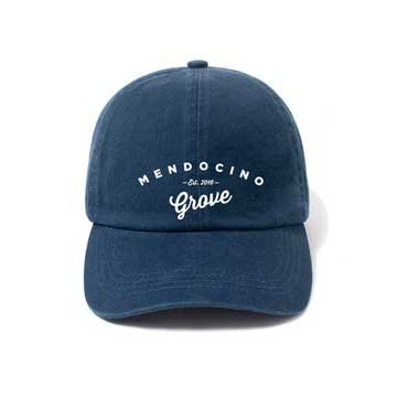 Dad Hat - Blue