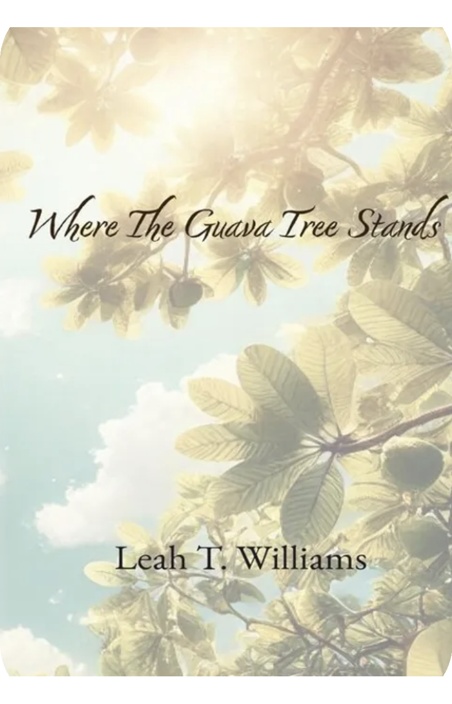 Where The Guava Tree Stands