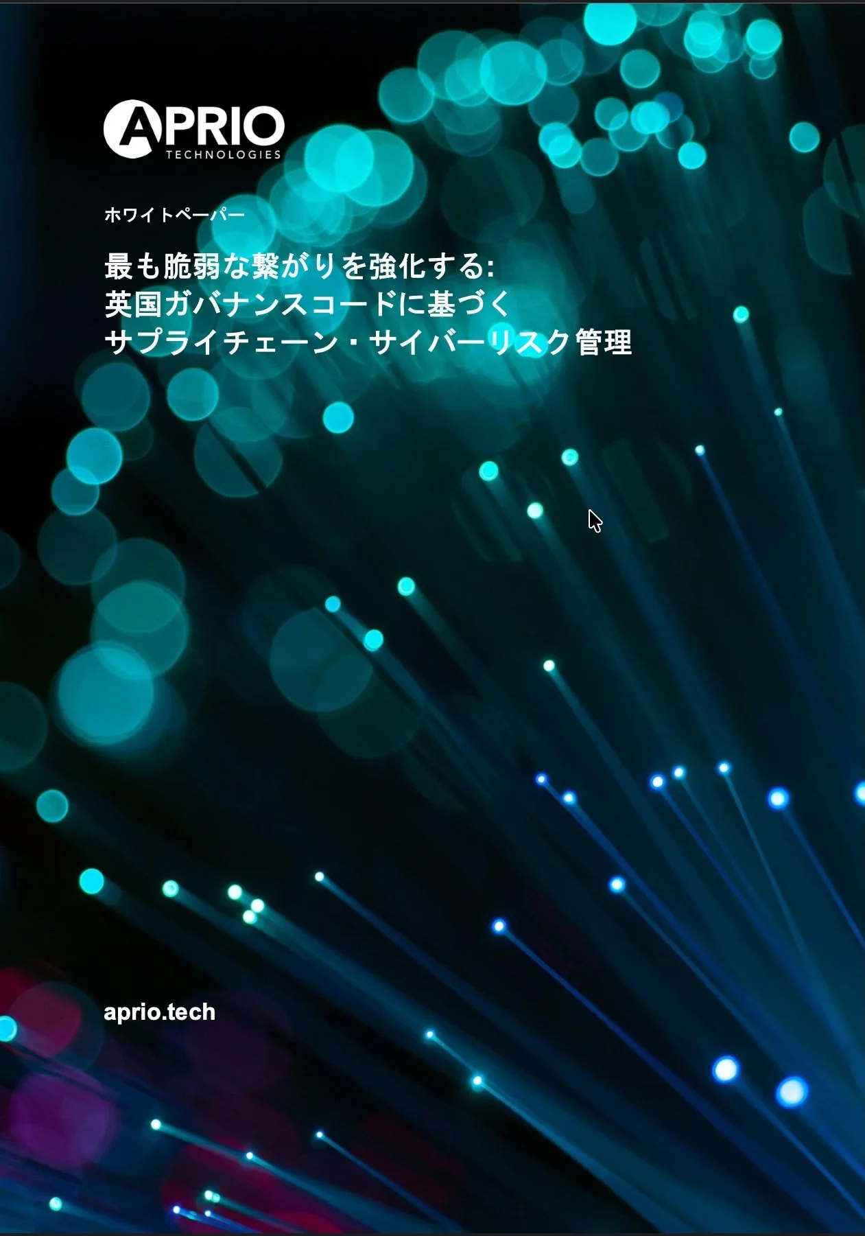 [WHITE PAPER] 最も脆弱な繋がりを強化する