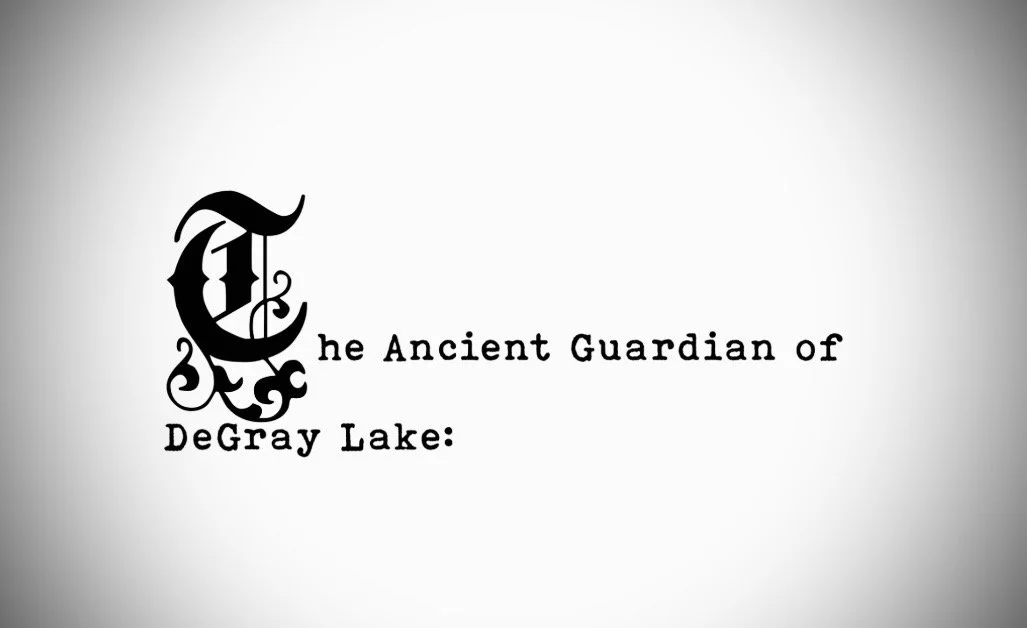 Catfish of DeGray Lake -Arkadelphia AR