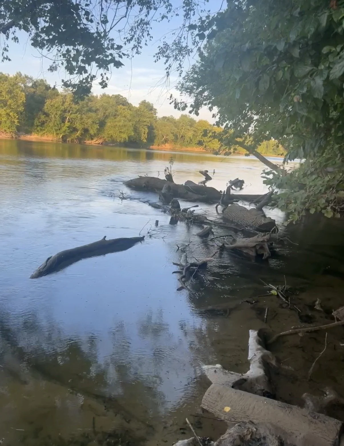 Arkadelphia: Where History Rests and Stories Walk