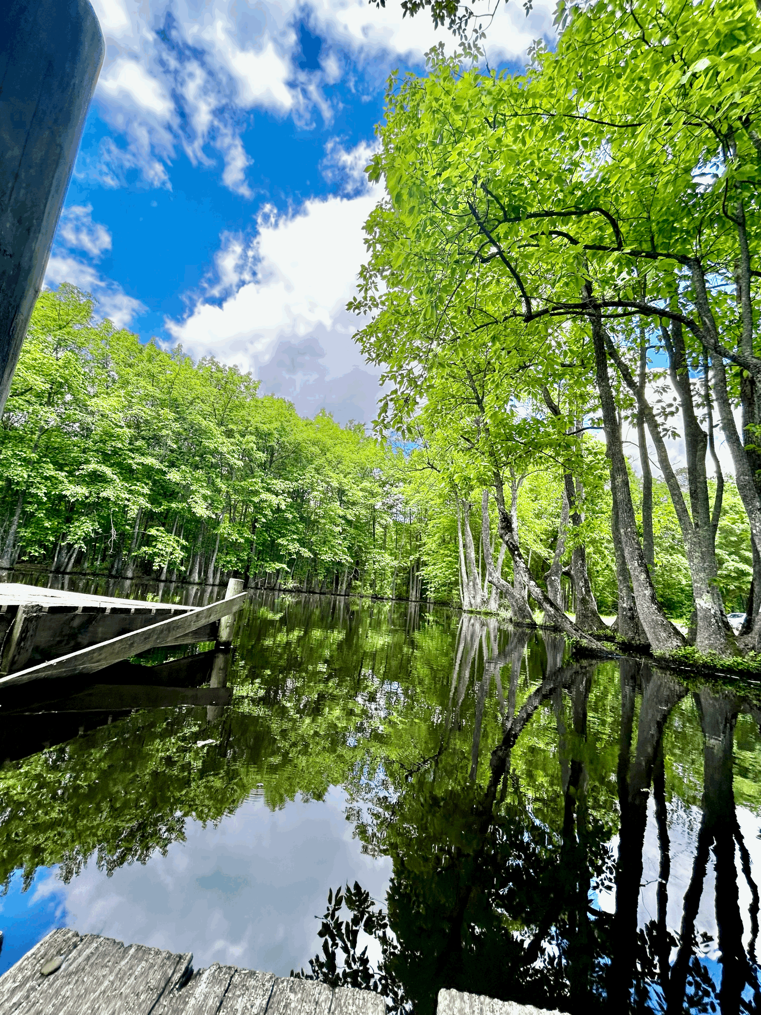 Clear Lake: The Quiet Water of Arkadelphia