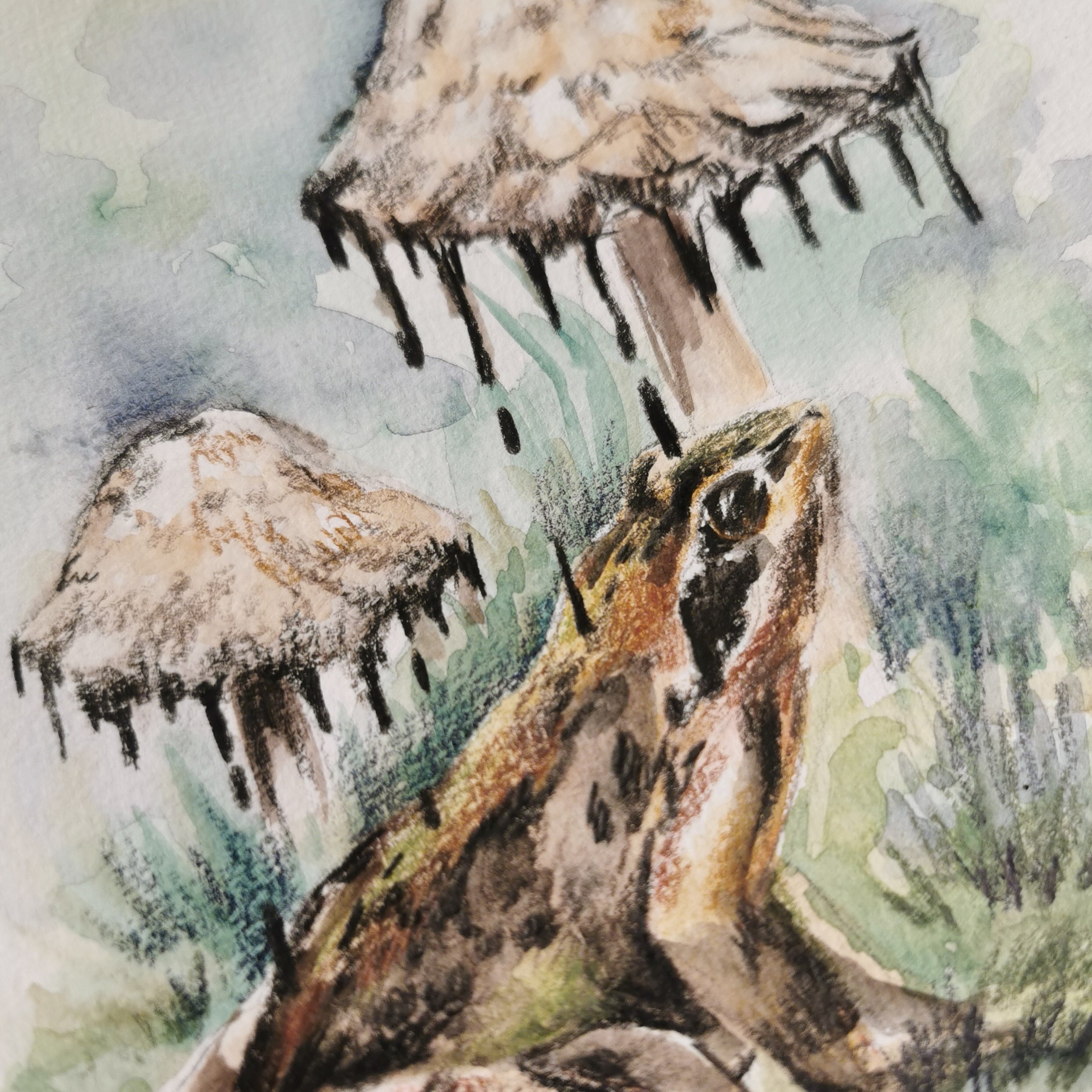 Detail, aus Frosch - Funguary 2025