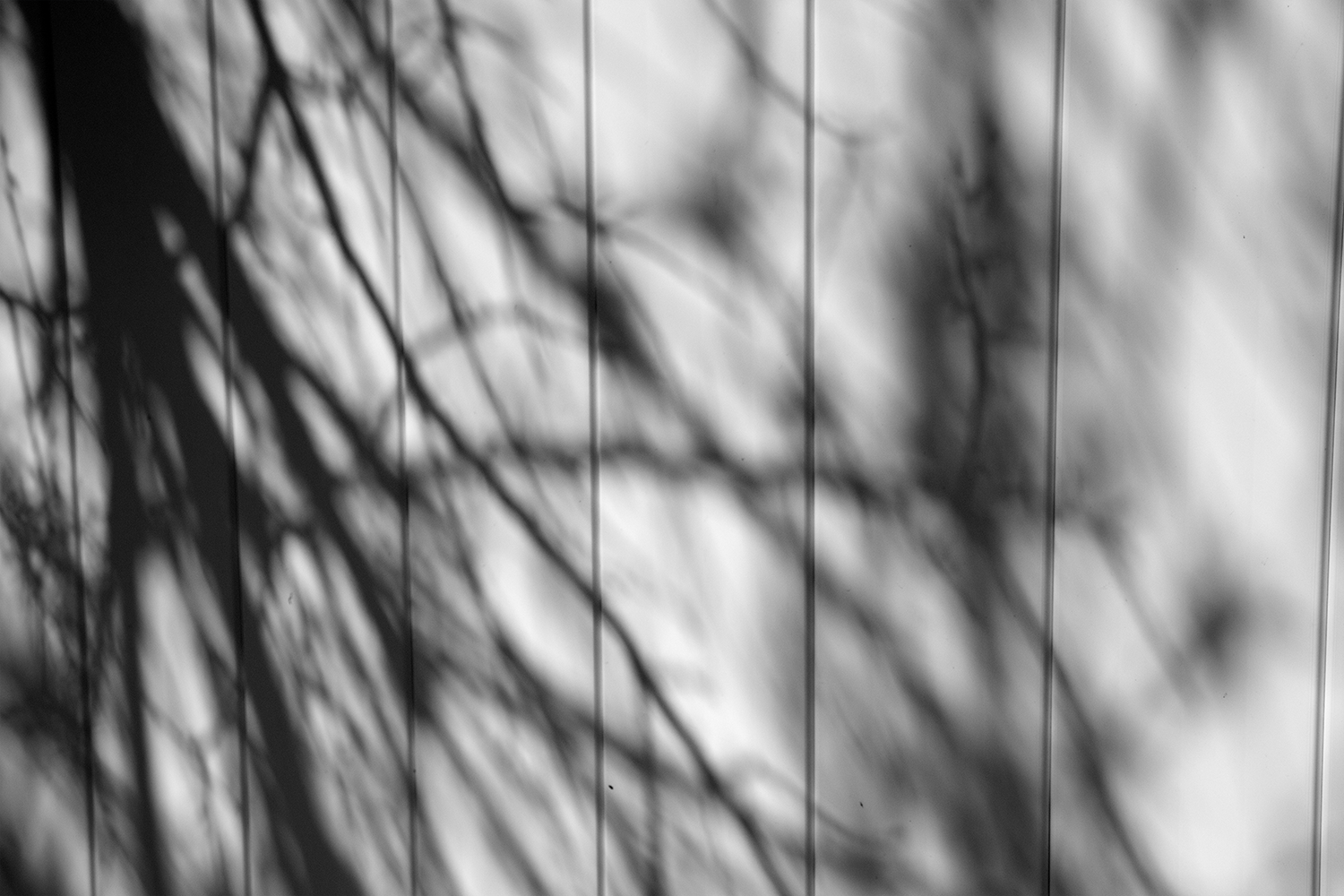 shadowfence_7021-2.png
