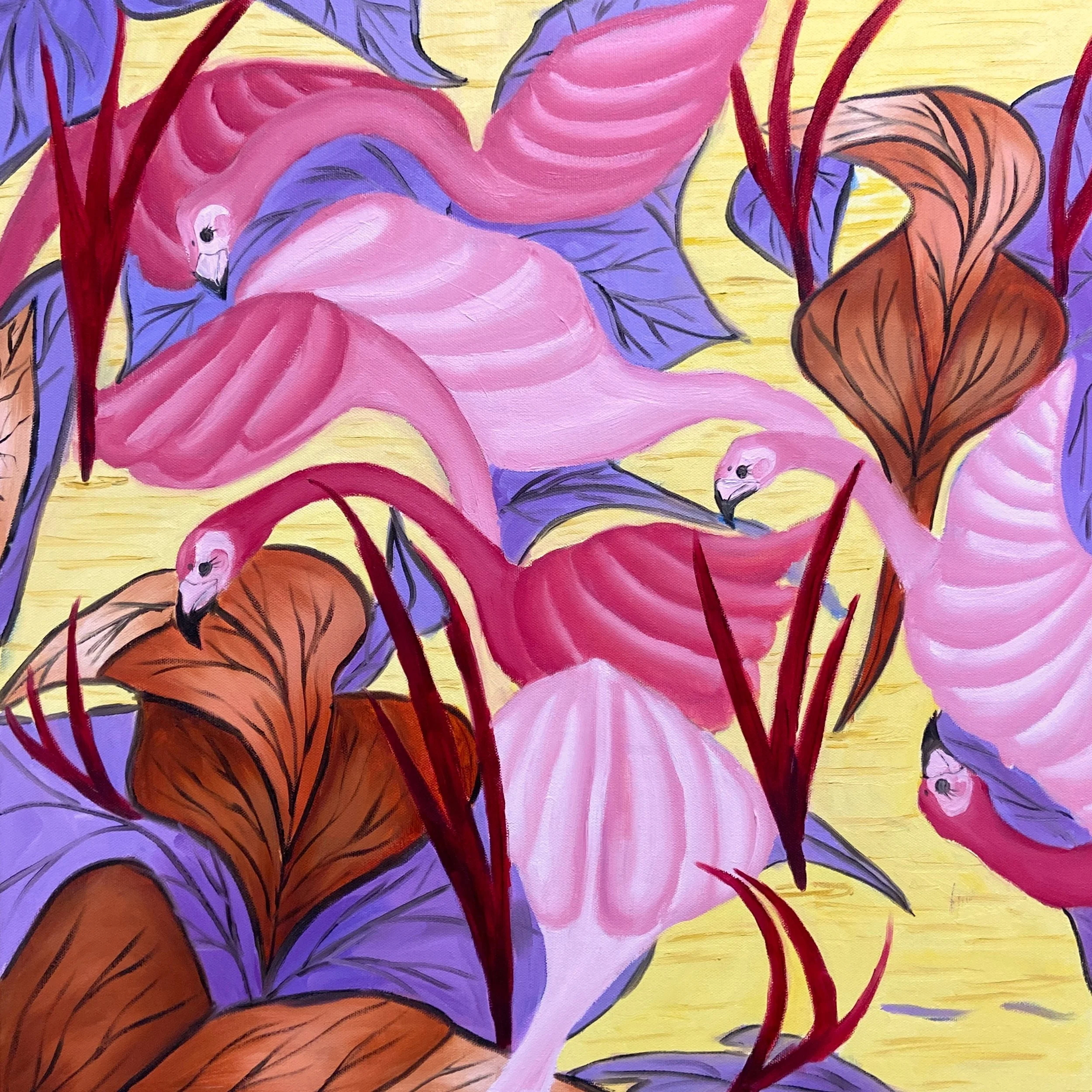 Flamencos / Flamingoes - Caribbean Sea Coast