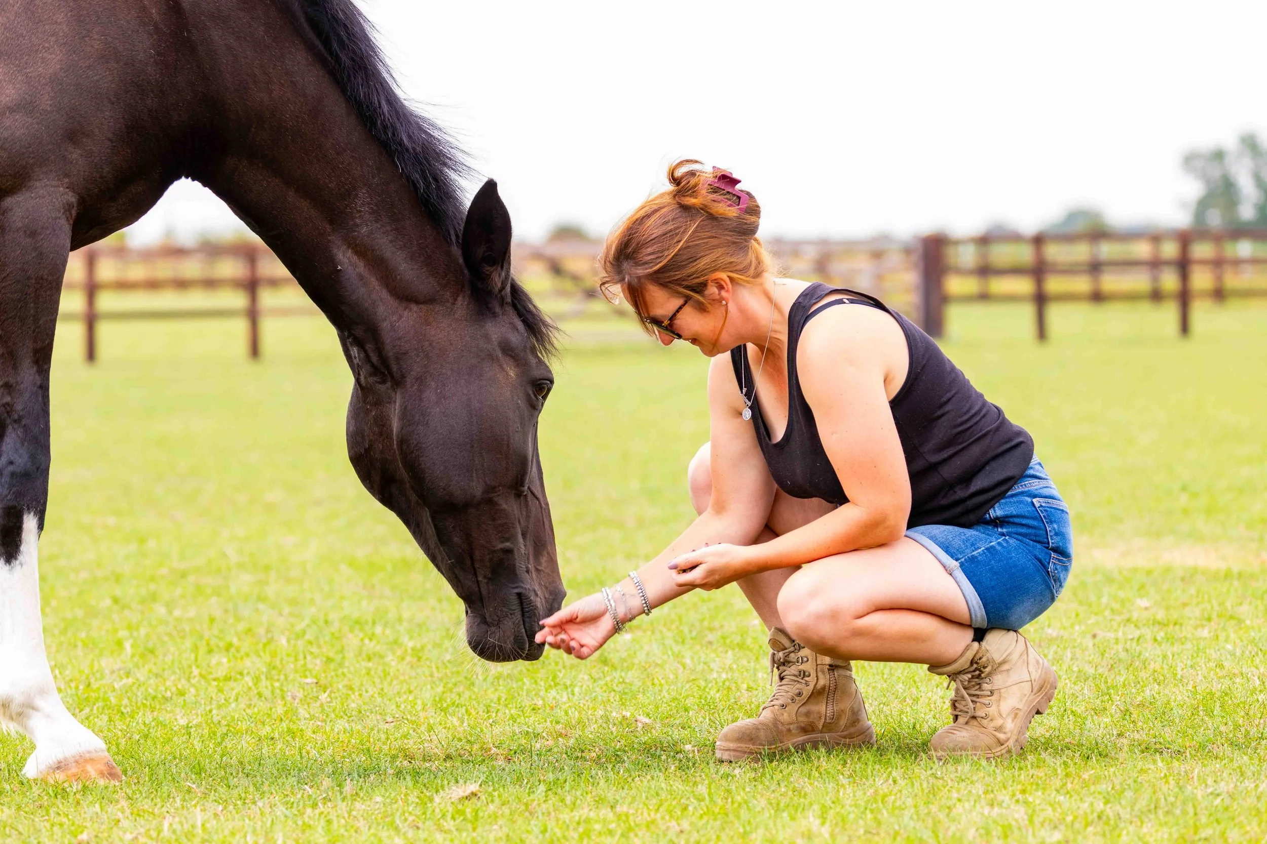 A woman crouching and holding a small object near a black horse on a grassy field, with a wooden fence in the background.