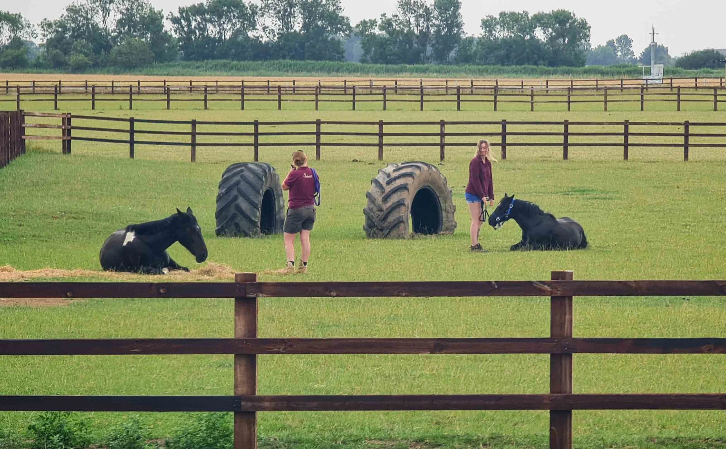 Two women and two black horses in a grassy fenced outdoor area with large tires, fields, and trees in the background.