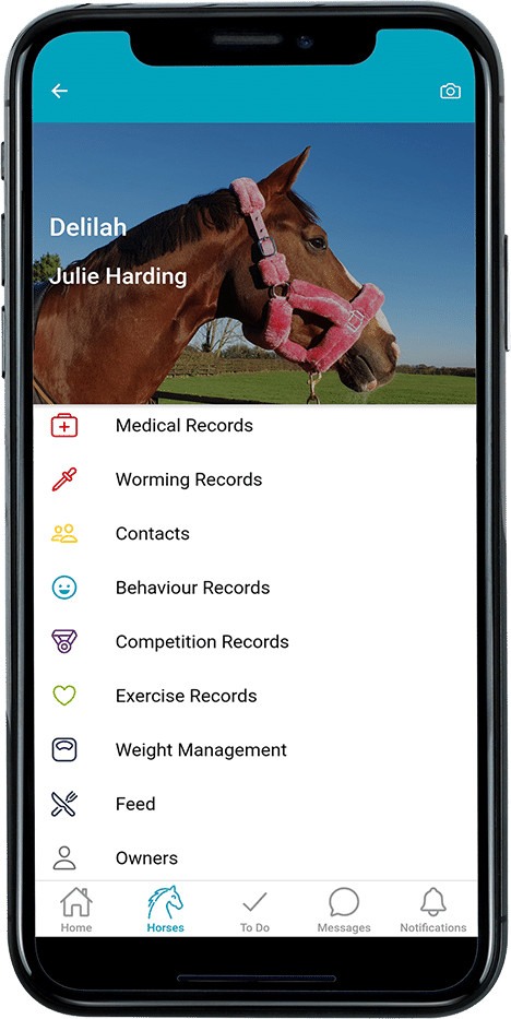 livery-live-app-equine-retirement